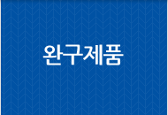 완구제품